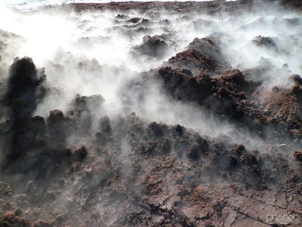 安徽十個有機(jī)肥的作用