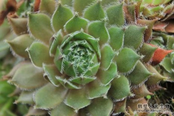 生產(chǎn)有機肥料 生產(chǎn)有機肥料