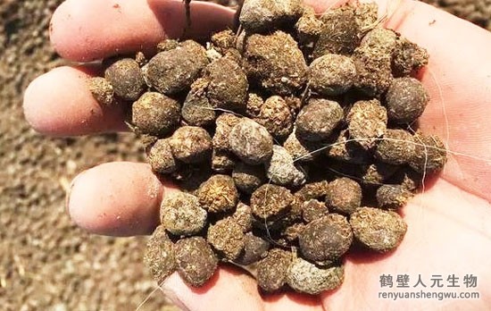 安徽羊糞有機(jī)肥的作用與好處