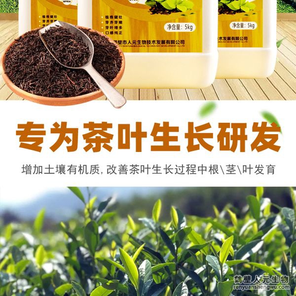 可增加根部須根數(shù)量，提高作物的附著能力；使作物主根粗壯、須根濃密，加速作物對養(yǎng)分的吸收；富含的有益菌具有固氮、解磷、解鉀功能，有效釋放土壤中的速效養(yǎng)分，提高肥料利用率，增加茶葉產(chǎn)量。