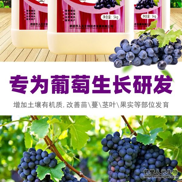 可有效增加根部須根數(shù)量，提高作物的附著能力；使作物主根粗壯、須根濃密，加速作物對(duì)養(yǎng)分的吸收；