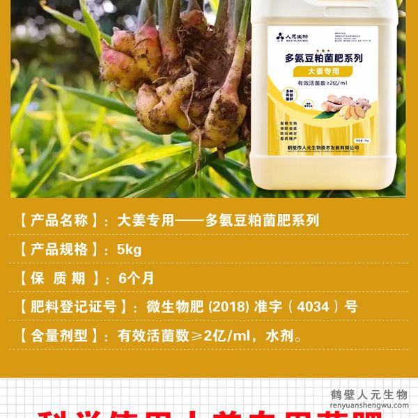 提高大姜膨產(chǎn)活力，姜多、姜大，姜面光滑，姜型健壯，提高品質(zhì)，對姜腐?。ń?有好的防治作用。并能提高改善大姜口感，使大姜辛辣清香味道純。使果面潔凈、色澤誘人、口感上佳，并能提早果實上市時間。