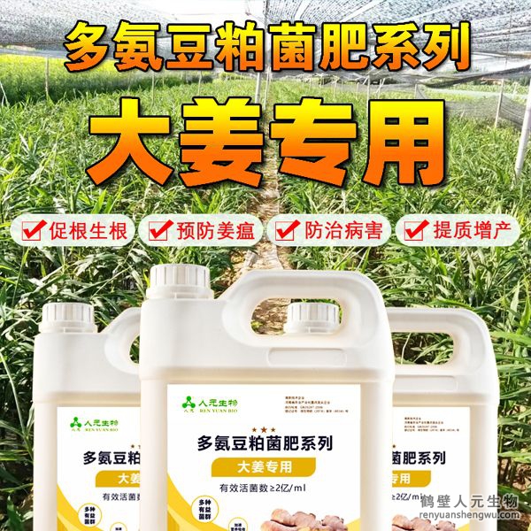 多氨豆粕菌肥系列大姜專用肥由河南省微生物菌劑工程技術(shù)研究中心研制，鶴壁市人元生物技術(shù)發(fā)展有限公司生產(chǎn)，本品是以固態(tài)發(fā)酵豆粕為主要原料，豆粕經(jīng)過有益微生物菌種發(fā)酵分解，充分釋放游離氨基酸，同時輔以枯草、地衣、膠凍樣芽孢桿菌等有益菌群。
