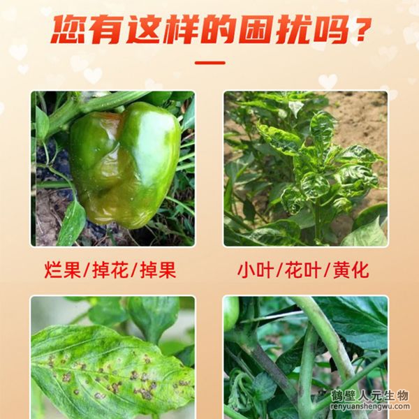 多氨豆粕菌肥系列辣椒專用肥適用范圍：適用于櫻桃椒、朝天椒、燈籠椒、羊角椒、線椒、彩椒、甜柿椒、牛角椒等辣椒類品種。