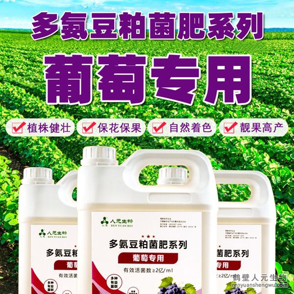多氨豆粕菌肥系列葡萄專用肥由河南省微生物菌劑工程技術(shù)研究中心研制，鶴壁市人元生物技術(shù)發(fā)展有限公司生產(chǎn)，本品是以固態(tài)發(fā)酵豆粕為主要原料，豆粕經(jīng)過有益微生物菌種發(fā)酵分解，充分釋放游離氨基酸，同時(shí)輔以枯草、地衣、膠凍樣芽孢桿菌等有益菌群。
