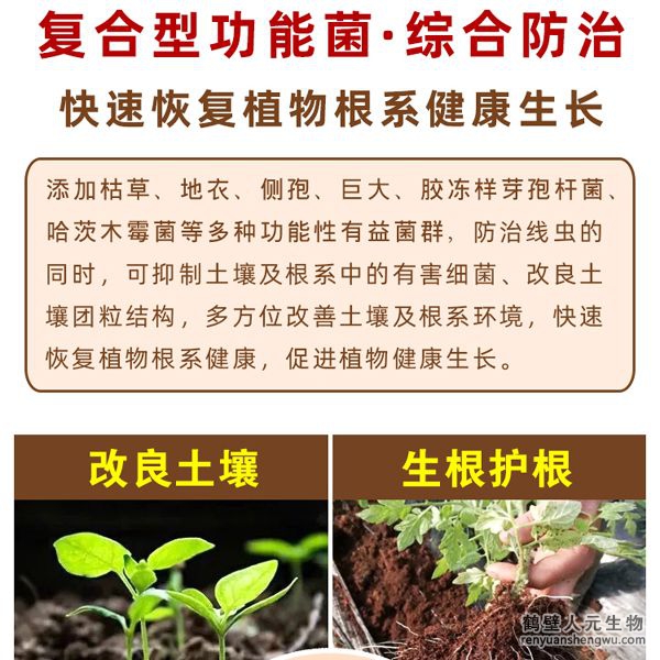 具有固氮、解磷、解鉀功能，轉化土壤中作物不能直接利用的氮、磷、鉀元素供作物吸收，同時可分泌大量的植物生長調節(jié)物質。連續(xù)兩年應用后，通過調查對比，產品在加深耕層、提高作物產量、緩解重茬障得方面效果明顯。