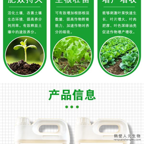 施用后各種營(yíng)養(yǎng)物質(zhì)能夠被葉菜迅速吸收并在體內(nèi)自由傳導(dǎo)，能夠刺激葉菜生長(zhǎng)細(xì)胞組織的快速分裂與增長(zhǎng)，使葉菜快速生長(zhǎng)，強(qiáng)化葉菜體內(nèi)新陳代謝，加速蛋白質(zhì)合成，促進(jìn)葉綠素的形成，增強(qiáng)光合作用，
